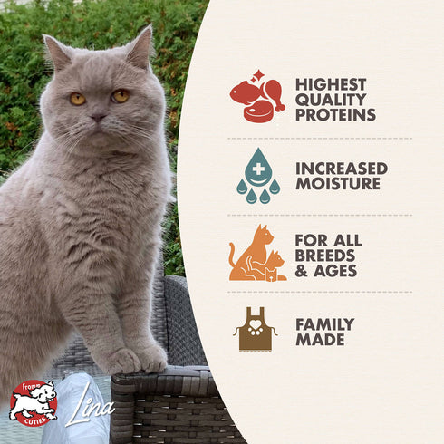 Fromm Four-Star Wet Cat Food - Chicken & Salmon Pâté - 5.5oz Can